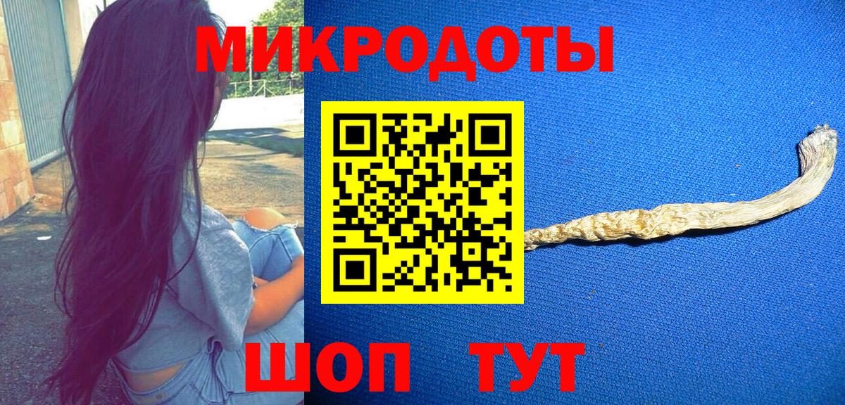 Псилоцибиновые грибы Psilocybe Нововоронеж