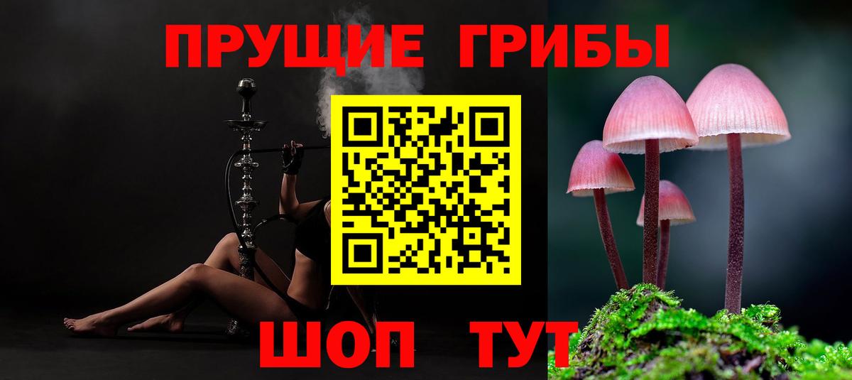 Псилоцибиновые грибы прущие грибы  Вход с VPN  Псилоцибиновые грибы мухоморы  Нововоронеж 